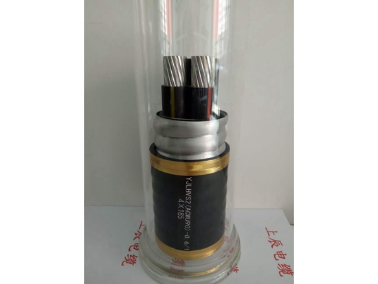 產(chǎn)品圖片 4