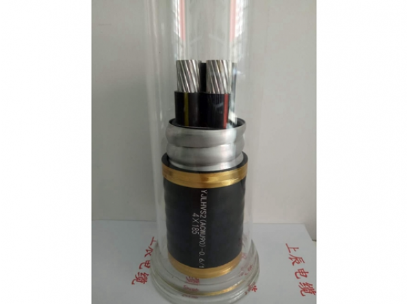 產(chǎn)品圖片 4